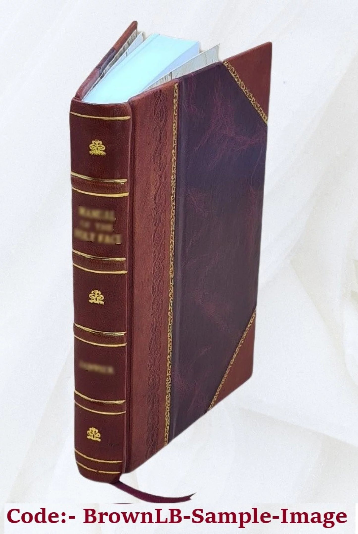 [Omnia quae extant juxta Benedictinorum versionem] Volume 26 1835 [Leather Bound]